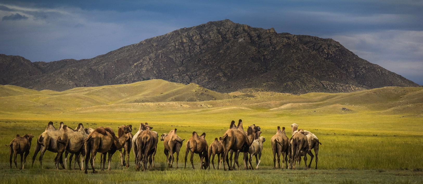 Secret Knowledge: Tuvan Throat Singing