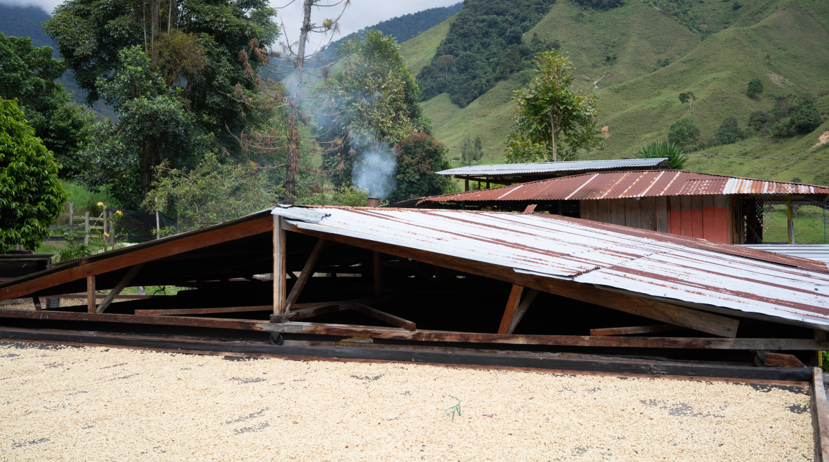 Drying roof at Finca Las Florestales