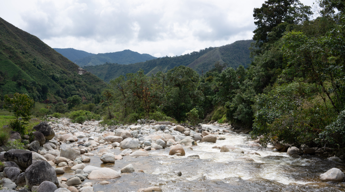 Image of the White River