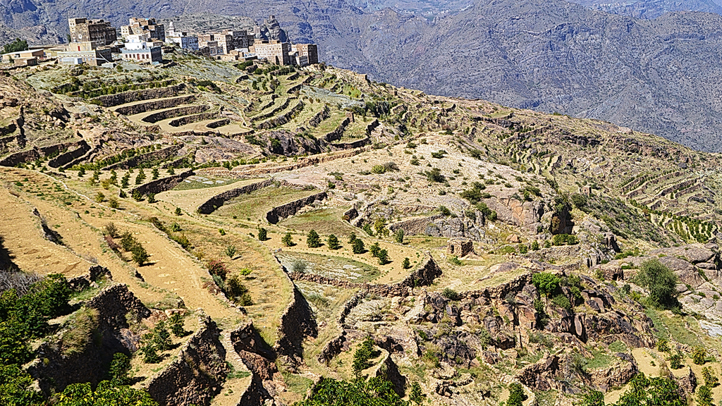 Yemeni coffee farm from above